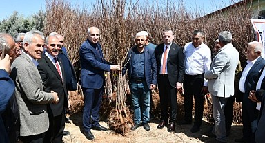 Tarıma Büyük Destek: 15 Bin Fidan Muhtarlar Aracılığıyla Dağıtılıyor