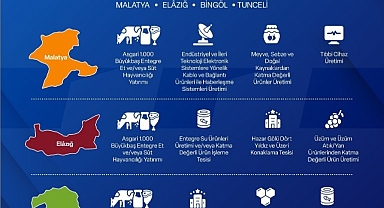 Yerel Kalkınma Hamlesi ile yatırımcılara 301 Milyon TL'ye kadar destek