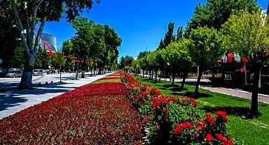 Malatya'da park ve kavşaklar çiçeklerle süslendi